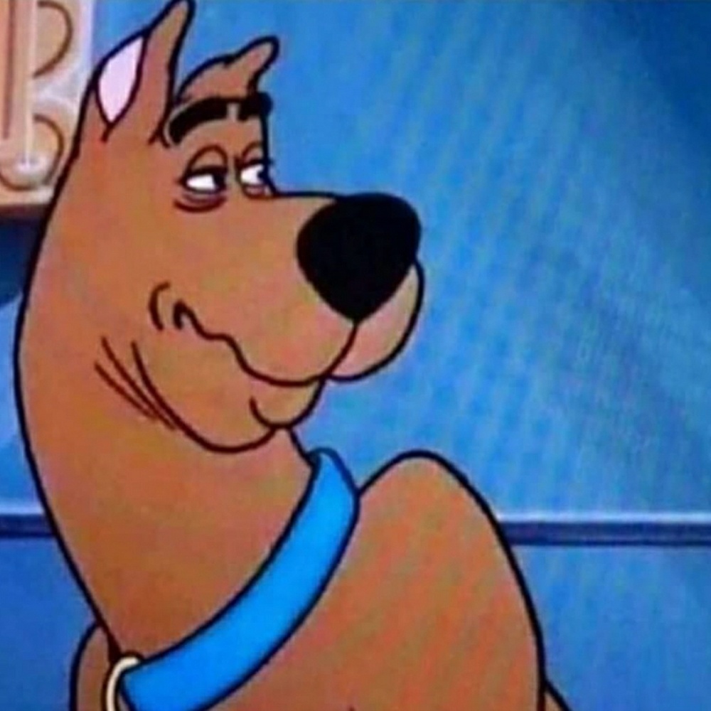 Meet your Posher, Christopher